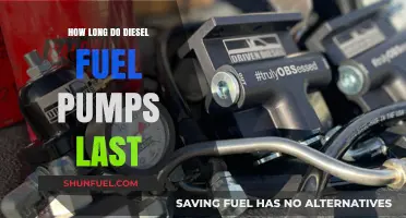 Diesel Fuel Pumps: How Long Do They Really Last?