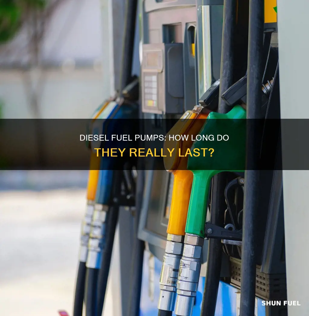 how long do diesel fuel pumps last