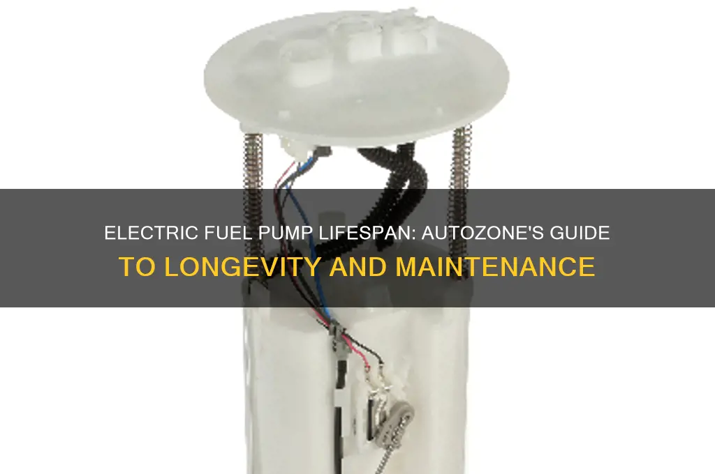 how long do electric fuel pumps last autozone