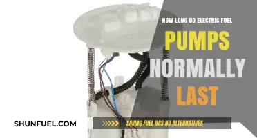 Electric Fuel Pump Lifespan: Understanding Typical Durability and Replacement Needs