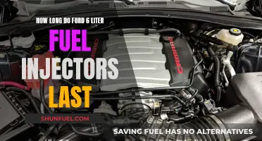 Fuel Injector Lifespan: Ford's 6-Liter Engines and Beyond