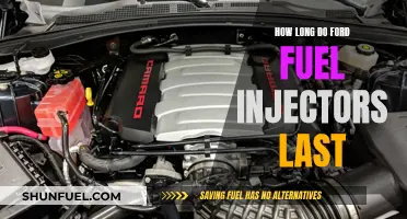 Ford Fuel Injectors: Lifespan and Longevity Factors