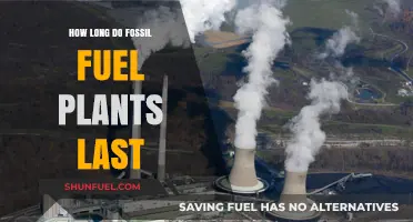 Lifespan of Fossil Fuel Plants: Durability, Decline, and Future Alternatives