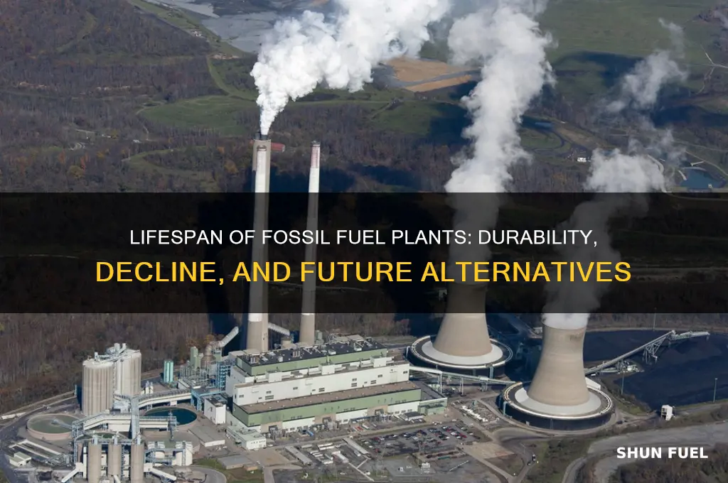 how long do fossil fuel plants last