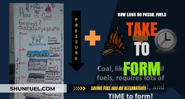 The Evolution of Fossil Fuels: A Multi-Million Year Process