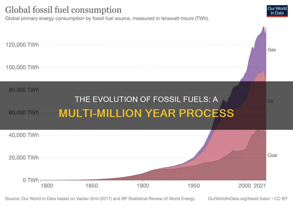 how long do fossil fuels take to form