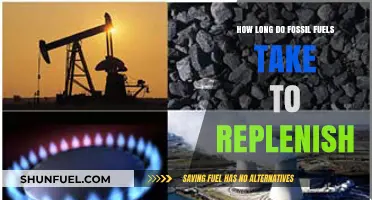 The Slow Renewal: Understanding Fossil Fuels' Replenishment Timeline