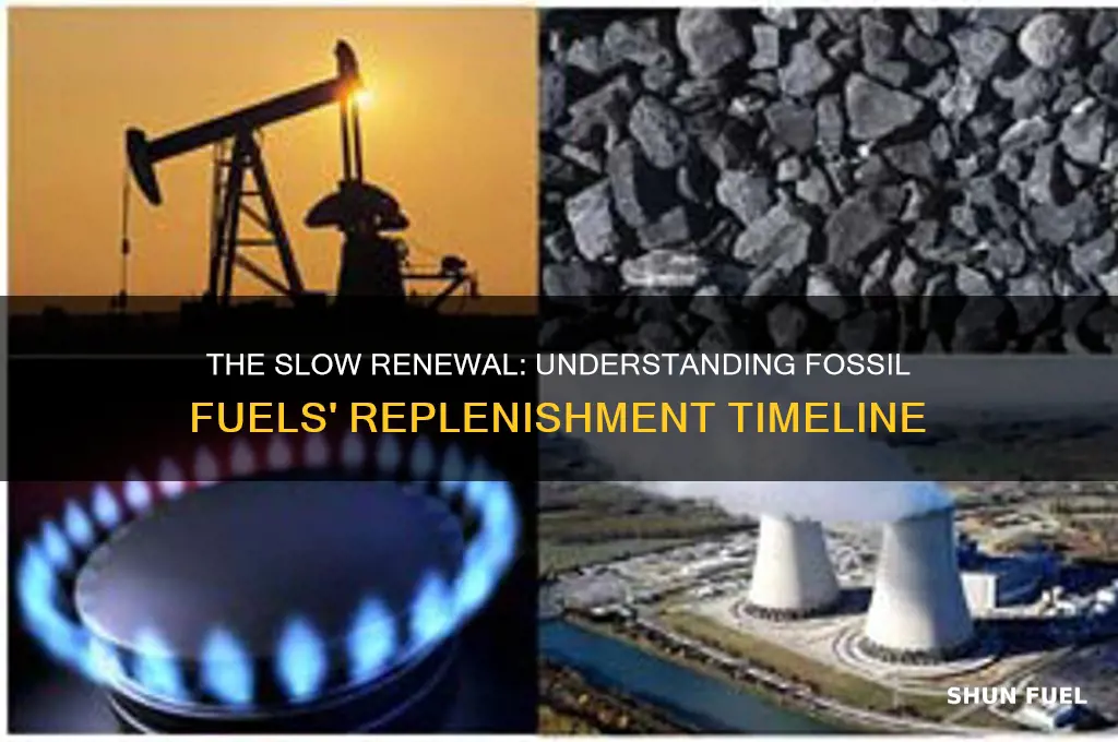 how long do fossil fuels take to replenish
