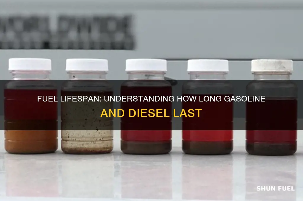 how long do fuel last