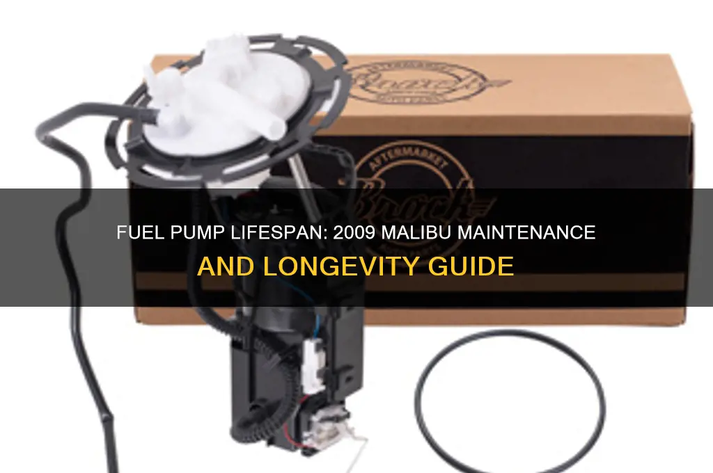 how long do fuel pumps last 2009 malibu