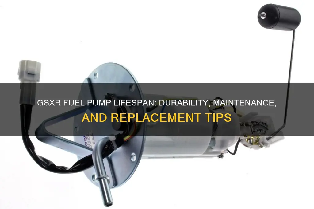 how long do fuel pumps last gsxr