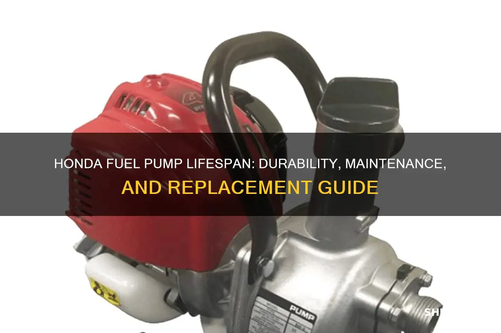 how long do honda fuel pumps last