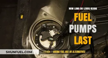 Lexus IS300 Fuel Pump Lifespan: What to Expect and Maintenance Tips