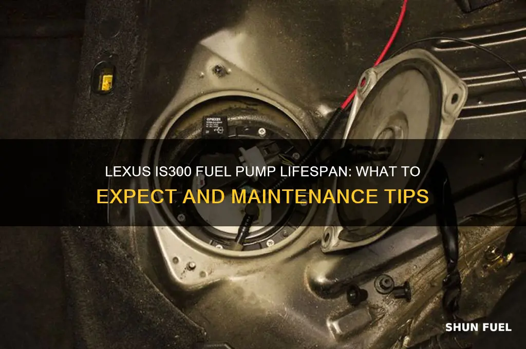 how long do lexus is300 fuel pumps last