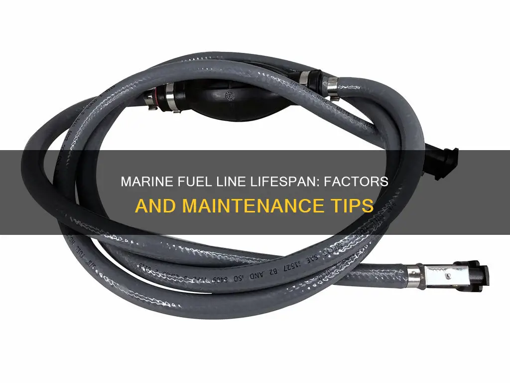 how long do marine fuel lines last