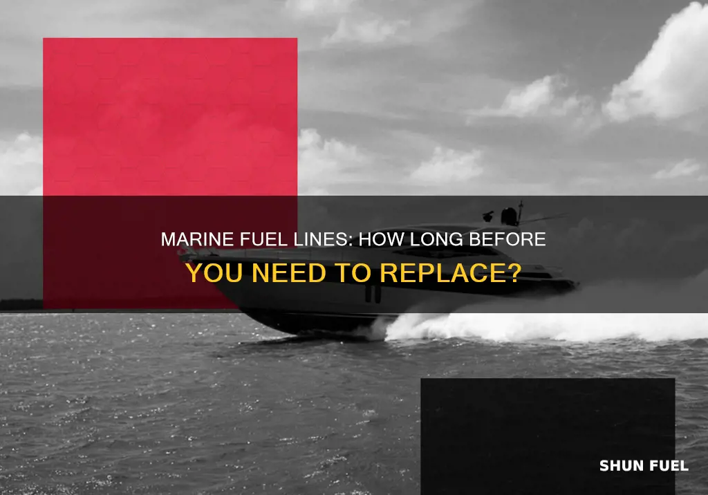 how long do marine fuel lines last