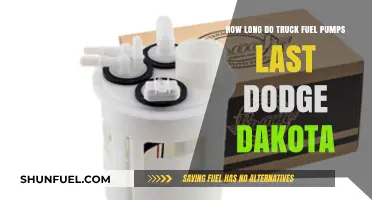 Dodge Dakota Truck Fuel Pump Lifespan: What to Expect