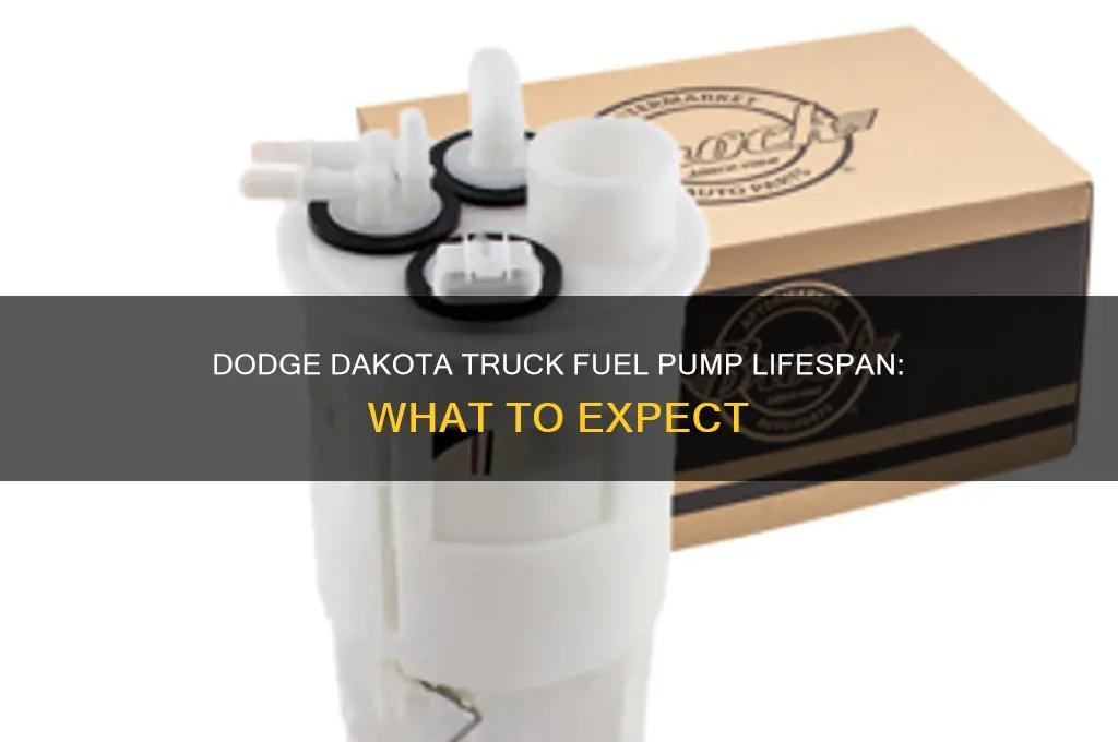how long do truck fuel pumps last dodge dakota