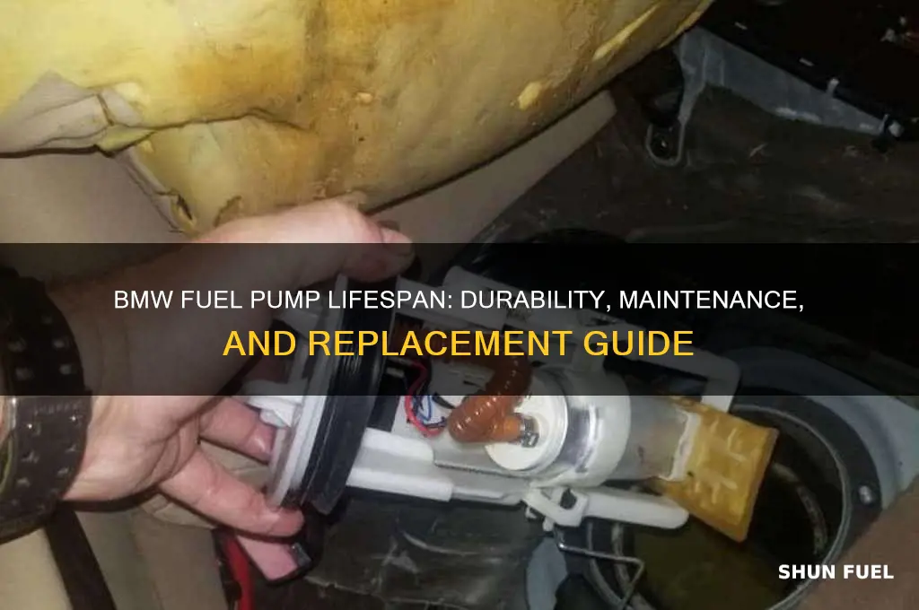 how long does a bmw fuel pump last