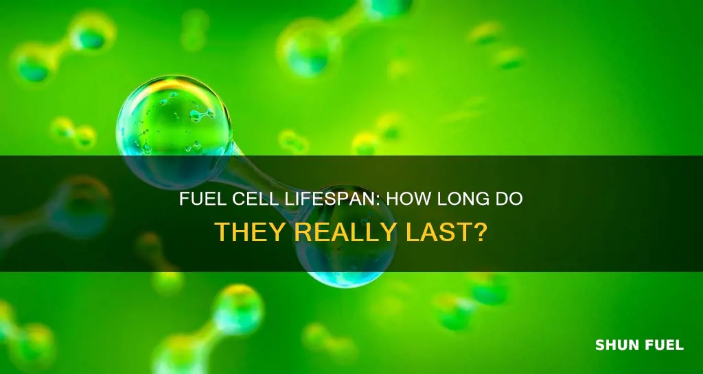 how long does a fuel cell last ina car