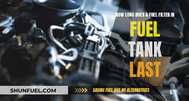 Fuel Filter Lifespan: How Long Before a Replacement?