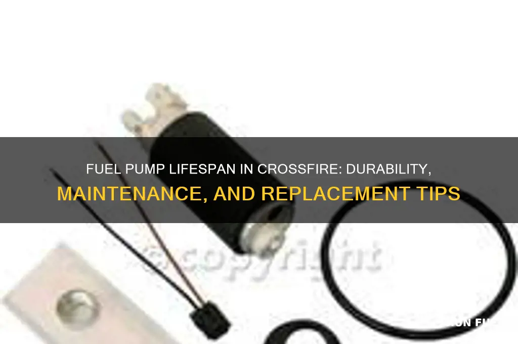 how long does a fuel pump last corssfire