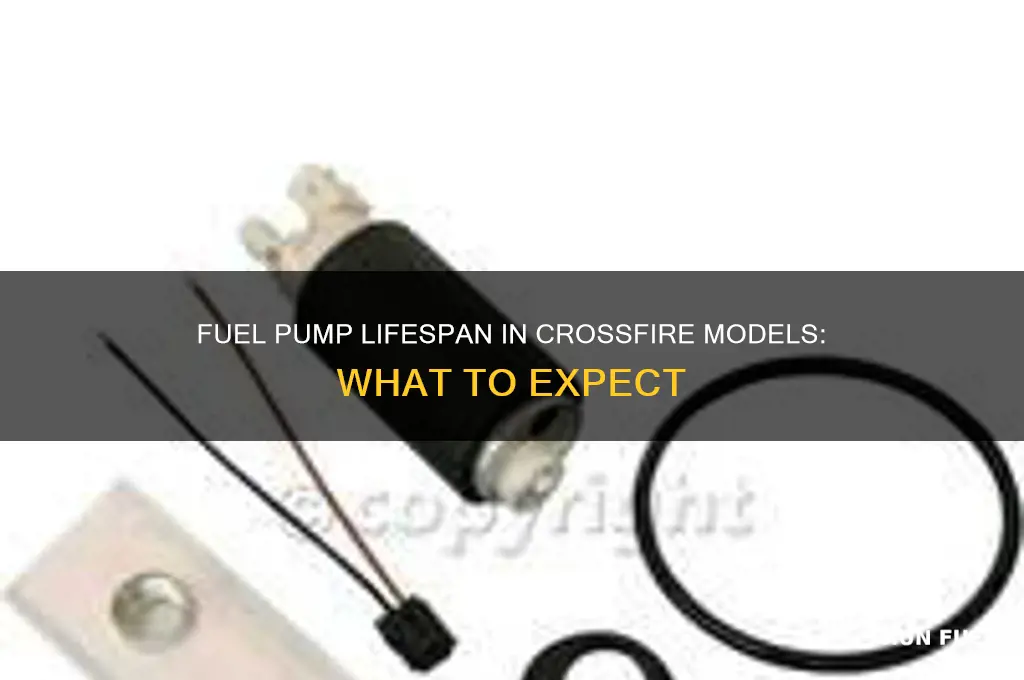 how long does a fuel pump last crossfire