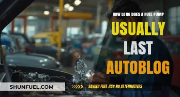 Fuel Pump Lifespan: How Long Does It Typically Last?