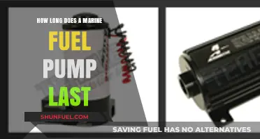 Marine Fuel Pump Lifespan: Factors Affecting Durability and Longevity