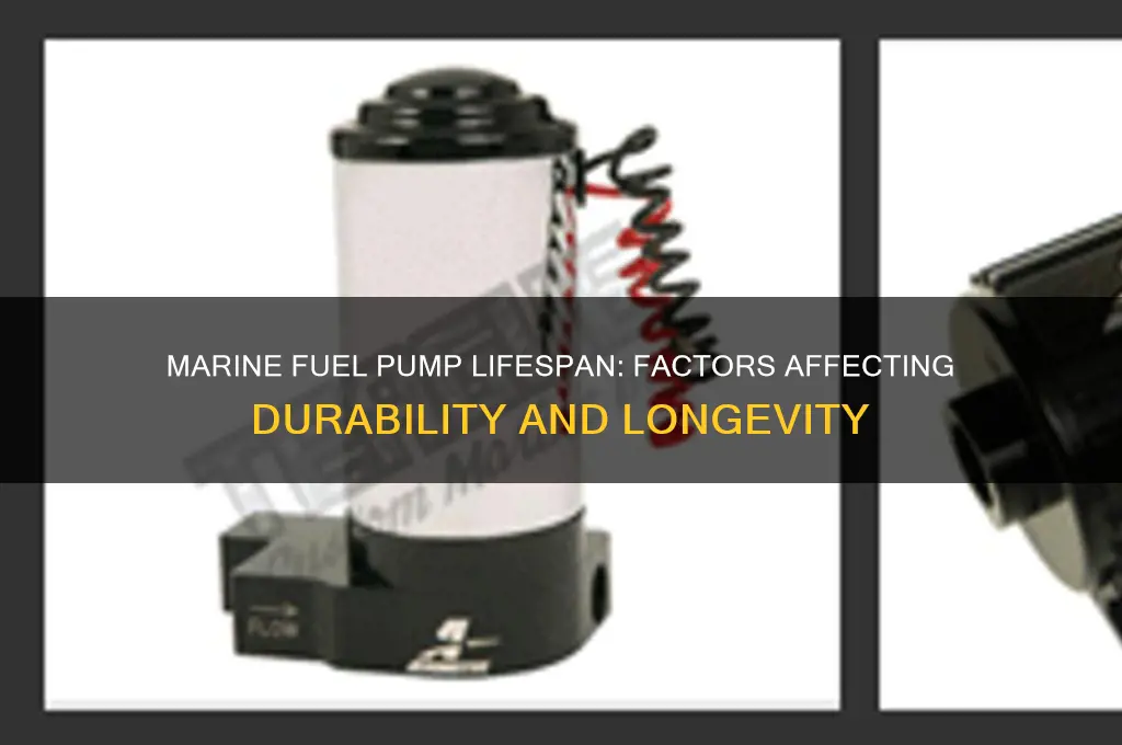 how long does a marine fuel pump last
