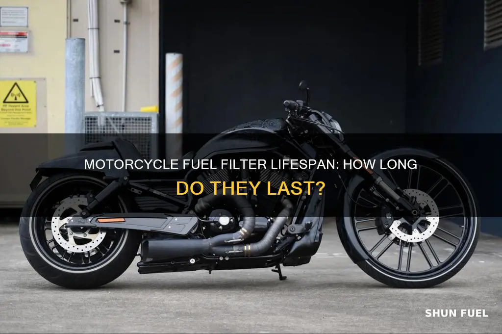 how long does a motorcycle fuel filter last