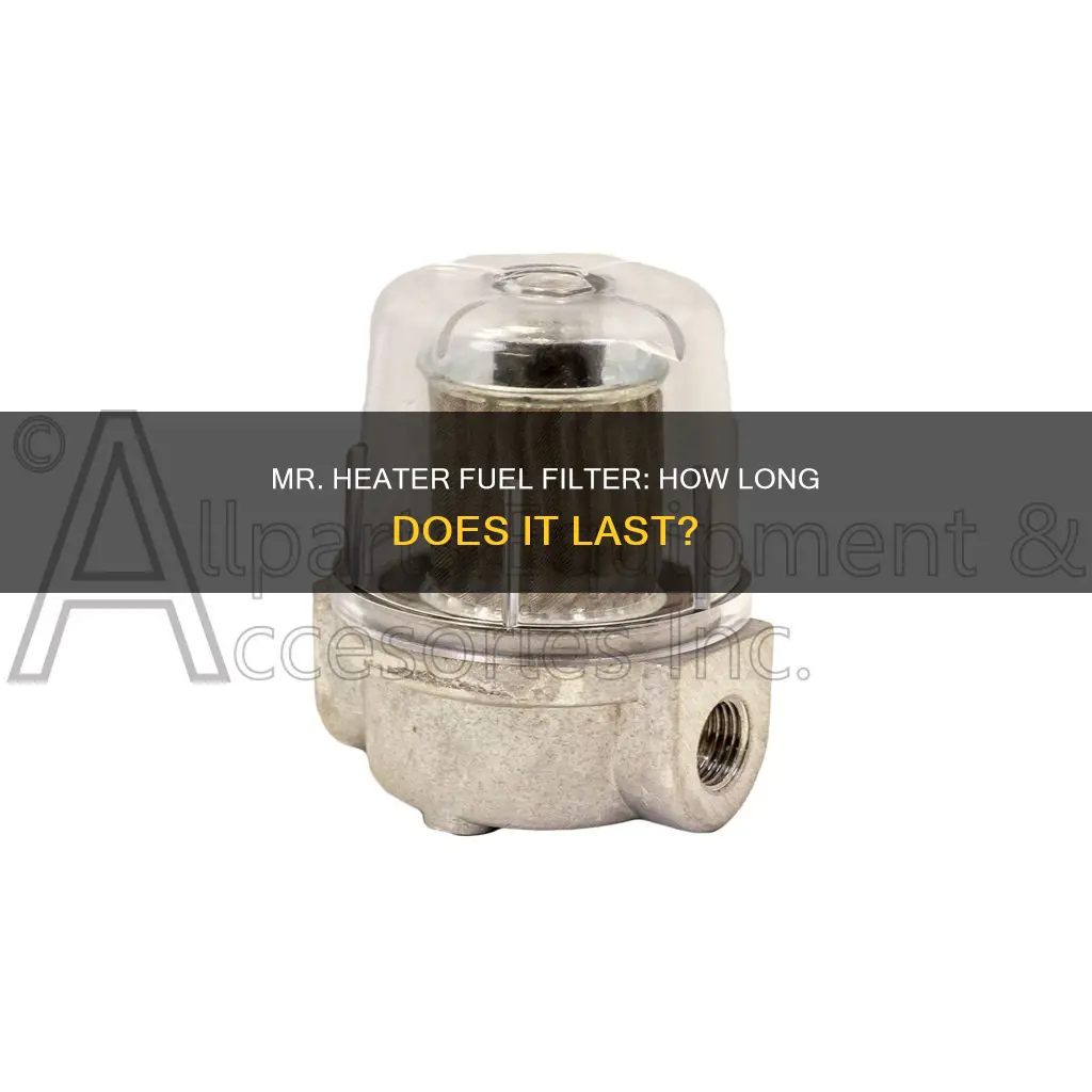 how long does a mr heater fuel filter last