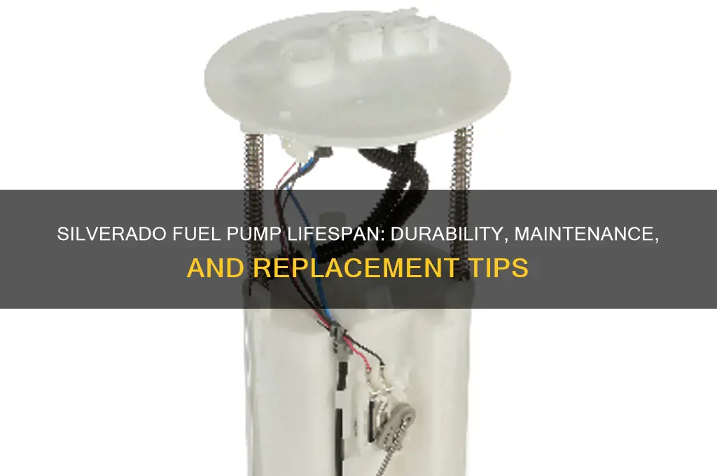 how long does a silverado fuel pump last