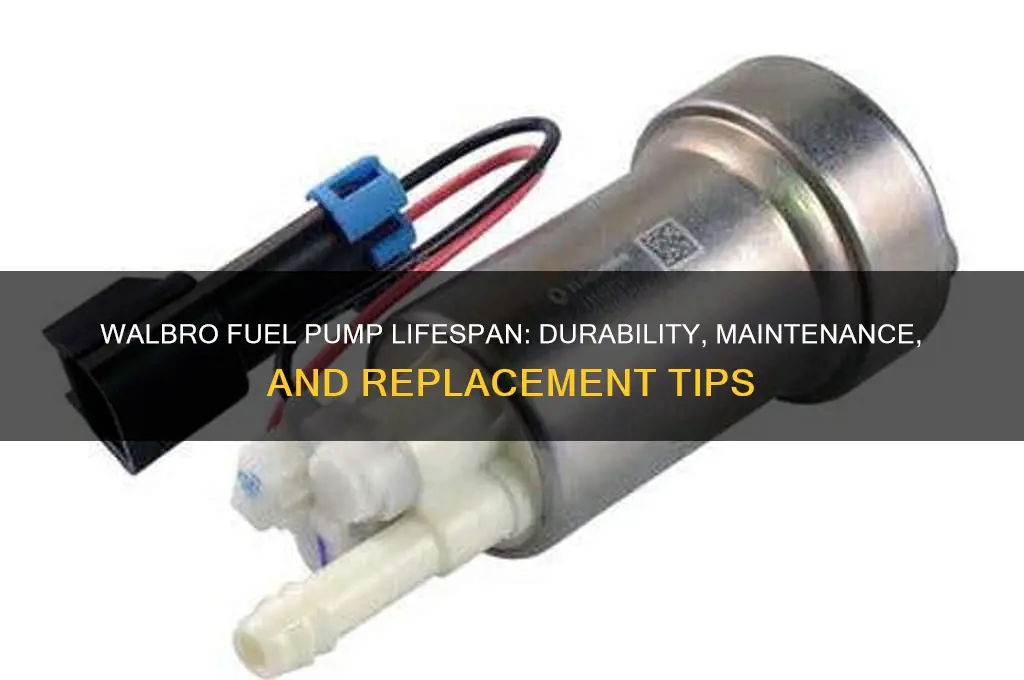 how long does a walbro fuel pump last