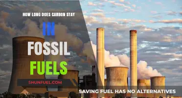 Carbon's Lifespan in Fossil Fuels: Understanding Storage Duration