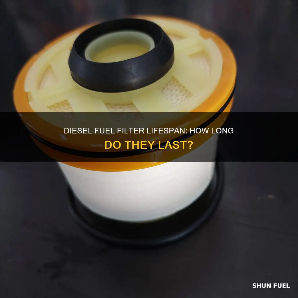 how long does diesel fuel filter last