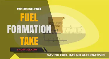 The Ancient Process: Understanding Fossil Fuel Formation Timeline