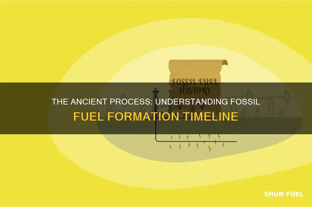 how long does fossil fuel formation take