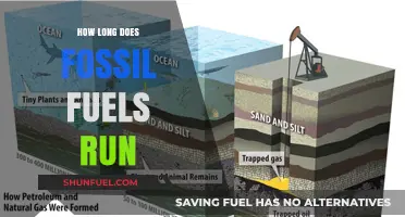 Fossil Fuels Countdown: Estimating the Remaining Lifespan of Our Energy Sources