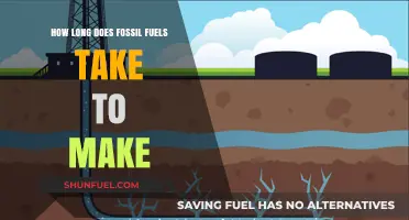 The Ancient Process: How Long Does Fossil Fuel Formation Take?