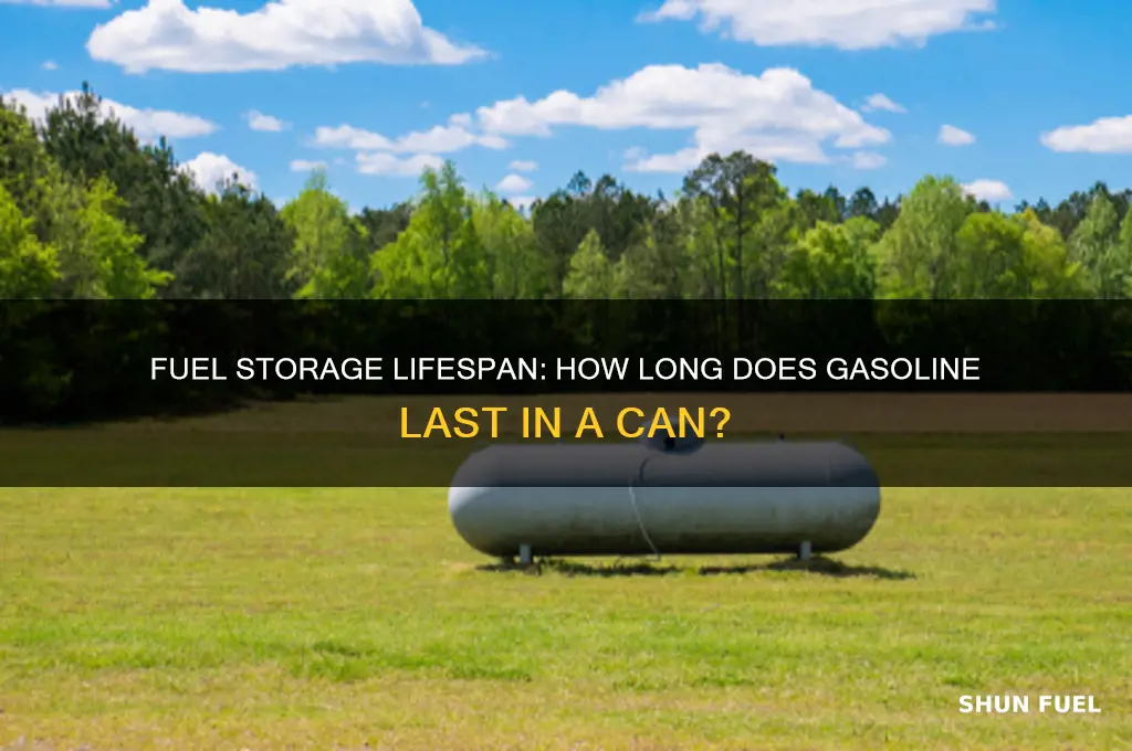 how long does fuel last in a can