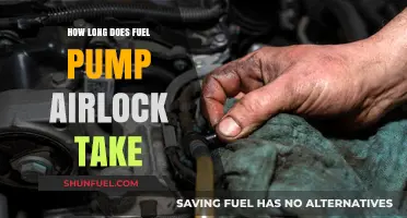 How Long Does Fuel Pump Airlock Take to Resolve?