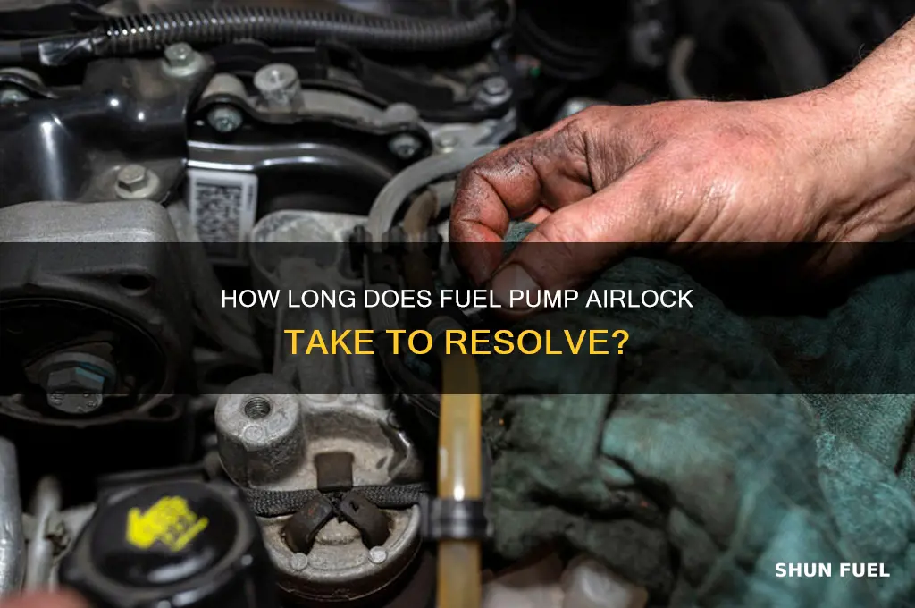 how long does fuel pump airlock take