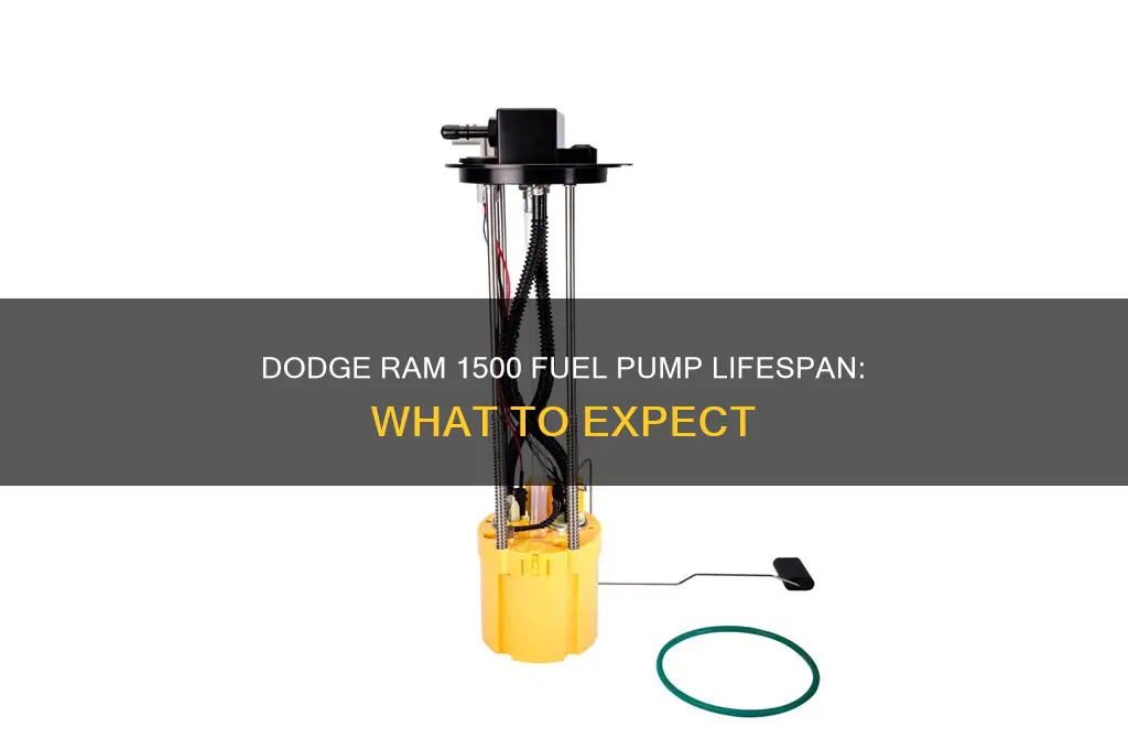 how long does fuel pump last dodge ram 1500
