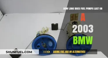 Fuel Pump Lifespan: How Long Does a 2003 BMW's Last?