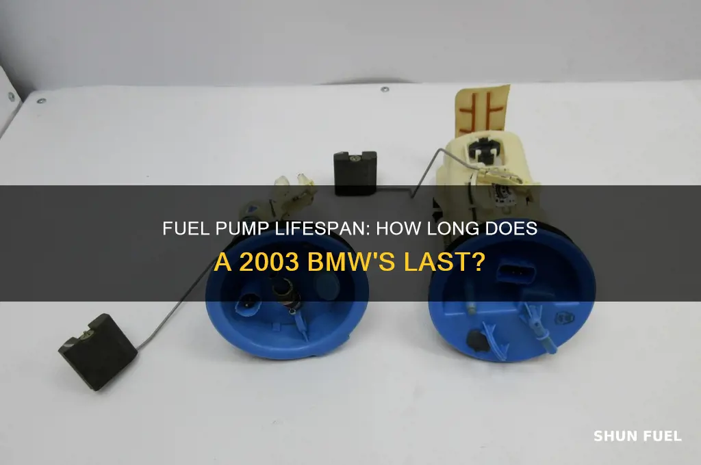 how long does fuel pumps last on a 2003 bmw