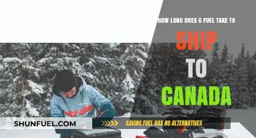 G Fuel Canada Shipping: Delivery Time and Expectations Explained