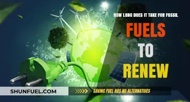 The Slow Renewal of Fossil Fuels: A Timeframe Explained