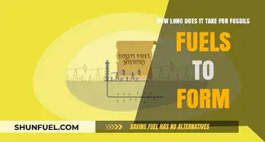 The Ancient Process: How Long Does Fossil Fuel Formation Take?