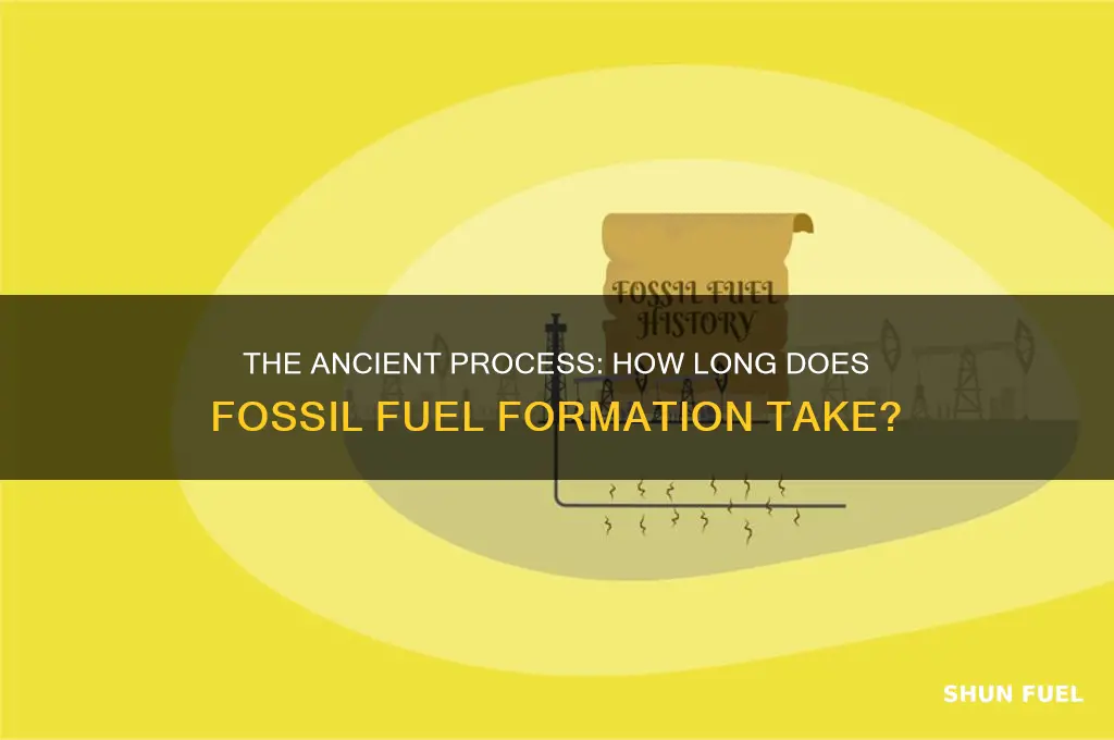 how long does it take for fossils fuels to form